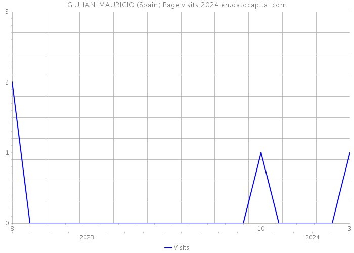 GIULIANI MAURICIO (Spain) Page visits 2024 