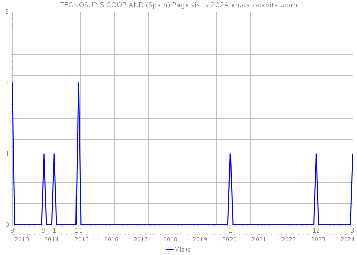 TECNOSUR S COOP AND (Spain) Page visits 2024 