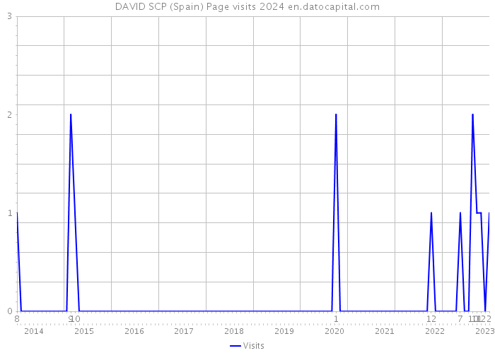DAVID SCP (Spain) Page visits 2024 