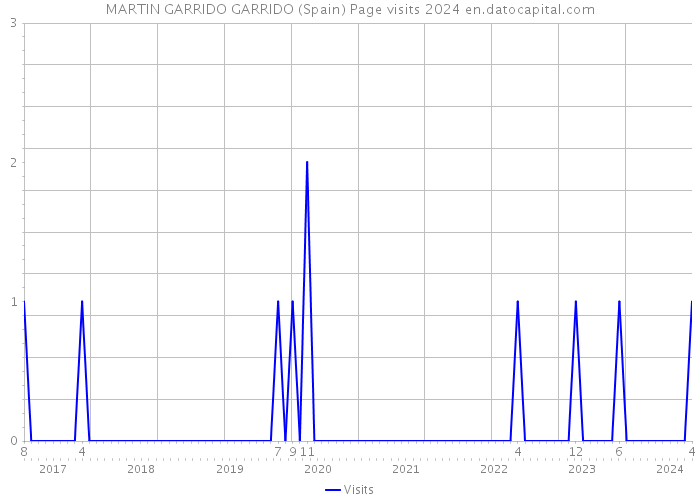 MARTIN GARRIDO GARRIDO (Spain) Page visits 2024 