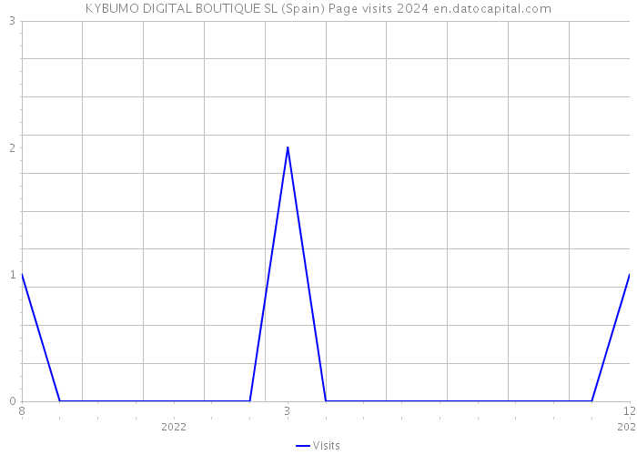KYBUMO DIGITAL BOUTIQUE SL (Spain) Page visits 2024 