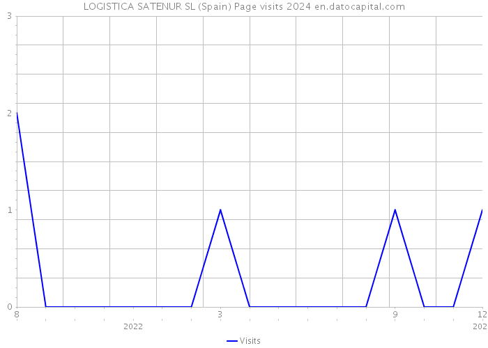 LOGISTICA SATENUR SL (Spain) Page visits 2024 