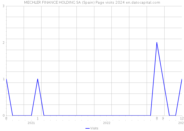 MECHLER FINANCE HOLDING SA (Spain) Page visits 2024 