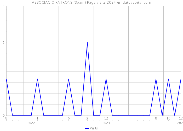 ASSOCIACIO PATRONS (Spain) Page visits 2024 