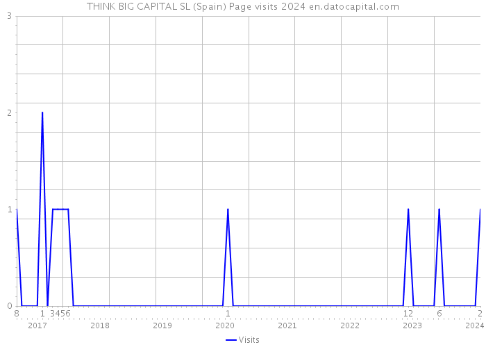 THINK BIG CAPITAL SL (Spain) Page visits 2024 
