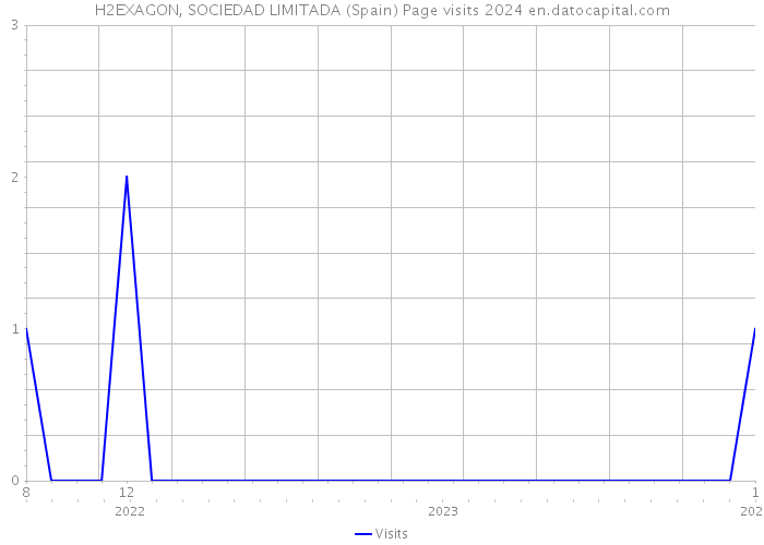 H2EXAGON, SOCIEDAD LIMITADA (Spain) Page visits 2024 