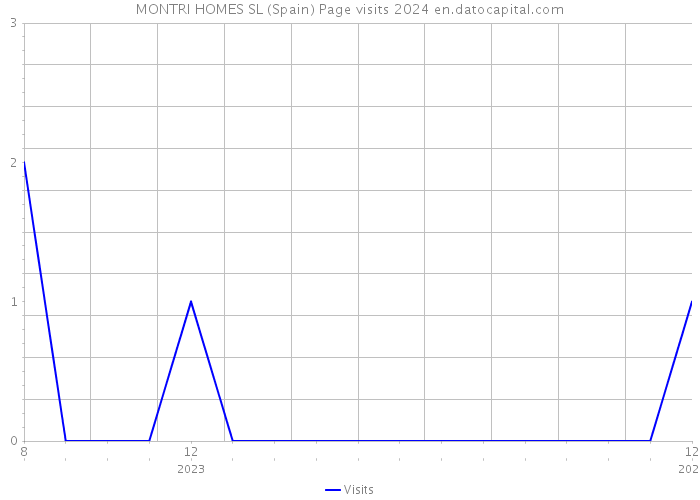 MONTRI HOMES SL (Spain) Page visits 2024 