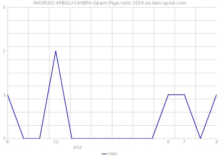 MAURIZIO ARBULU CANEPA (Spain) Page visits 2024 