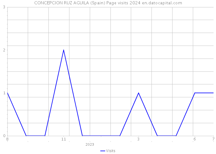 CONCEPCION RUZ AGUILA (Spain) Page visits 2024 