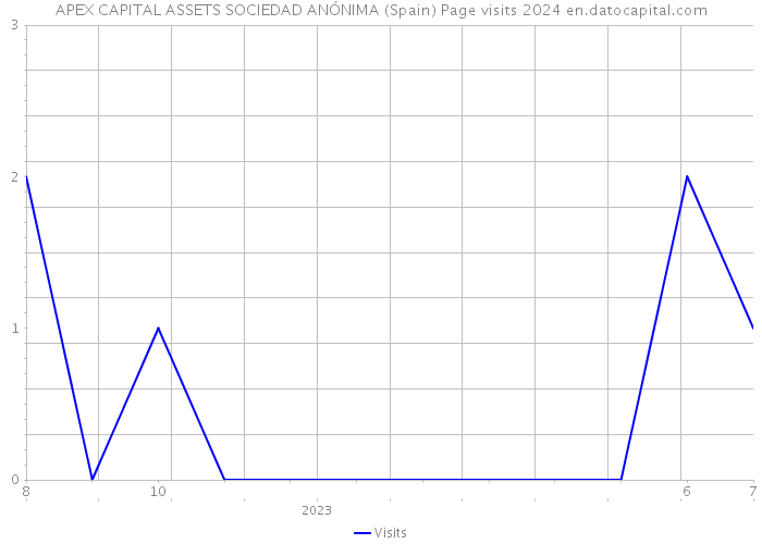 APEX CAPITAL ASSETS SOCIEDAD ANÓNIMA (Spain) Page visits 2024 