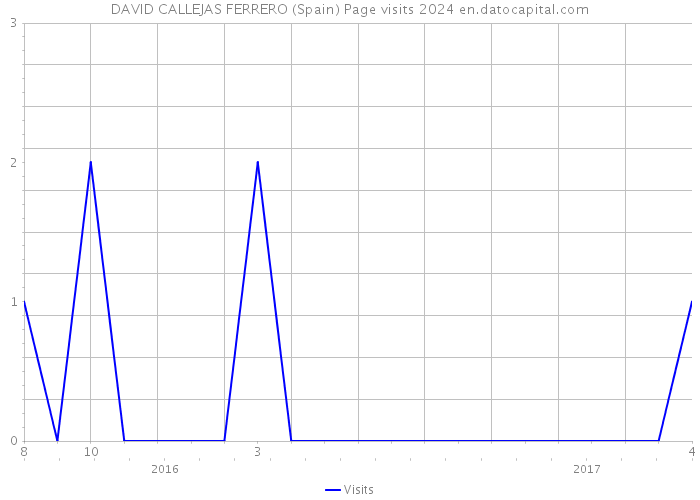 DAVID CALLEJAS FERRERO (Spain) Page visits 2024 
