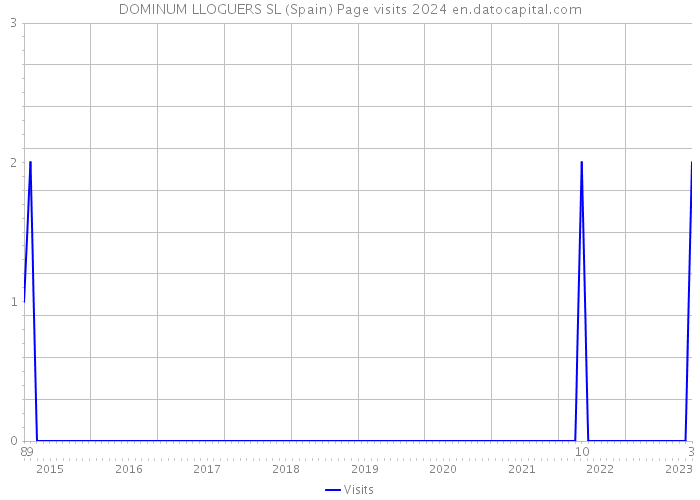DOMINUM LLOGUERS SL (Spain) Page visits 2024 