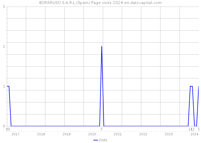 BOPARUSO S.A.R.L (Spain) Page visits 2024 