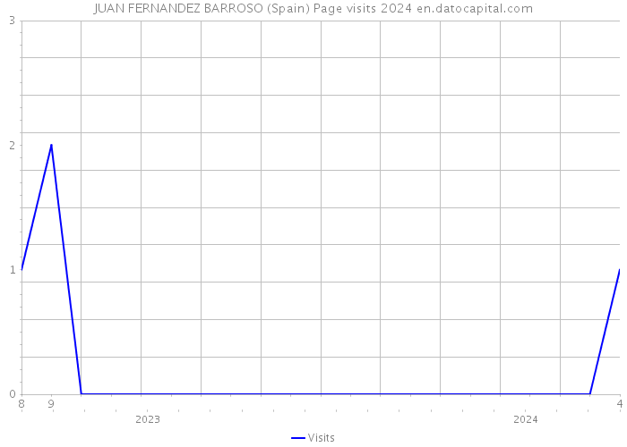 JUAN FERNANDEZ BARROSO (Spain) Page visits 2024 