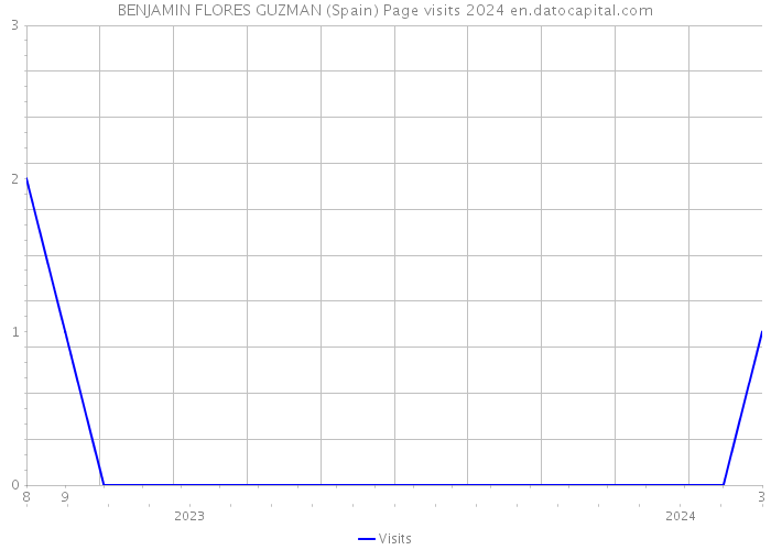 BENJAMIN FLORES GUZMAN (Spain) Page visits 2024 