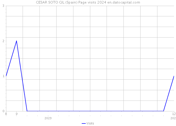 CESAR SOTO GIL (Spain) Page visits 2024 
