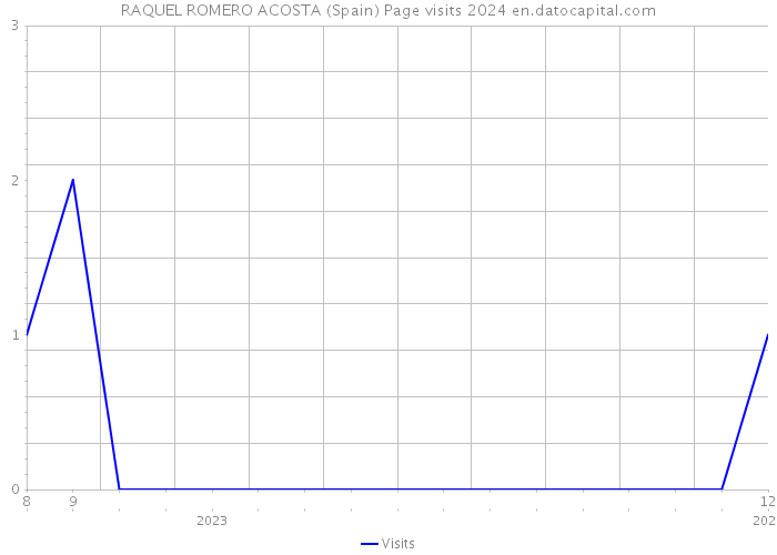 RAQUEL ROMERO ACOSTA (Spain) Page visits 2024 