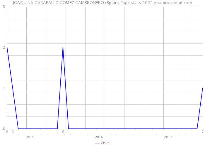 JOAQUINA CARABALLO GOMEZ CAMBRONERO (Spain) Page visits 2024 