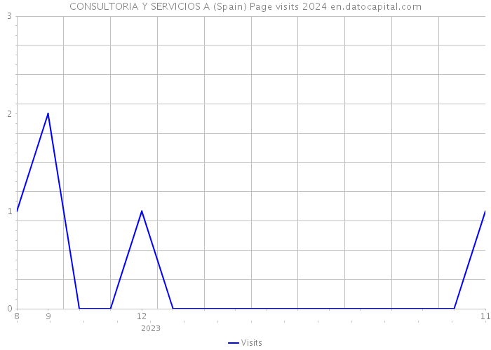 CONSULTORIA Y SERVICIOS A (Spain) Page visits 2024 