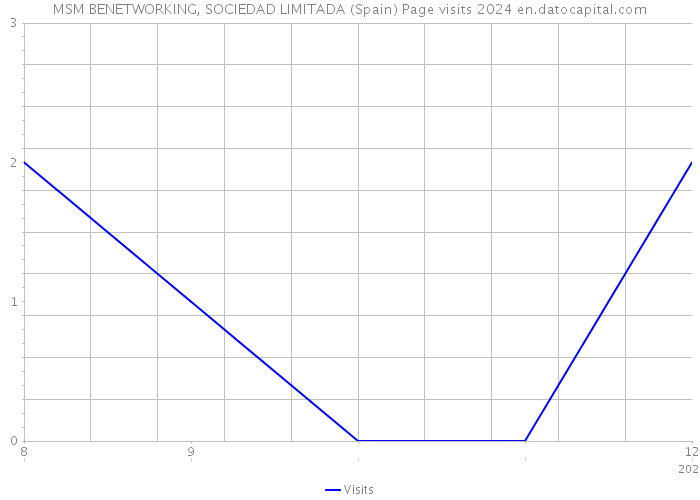 MSM BENETWORKING, SOCIEDAD LIMITADA (Spain) Page visits 2024 