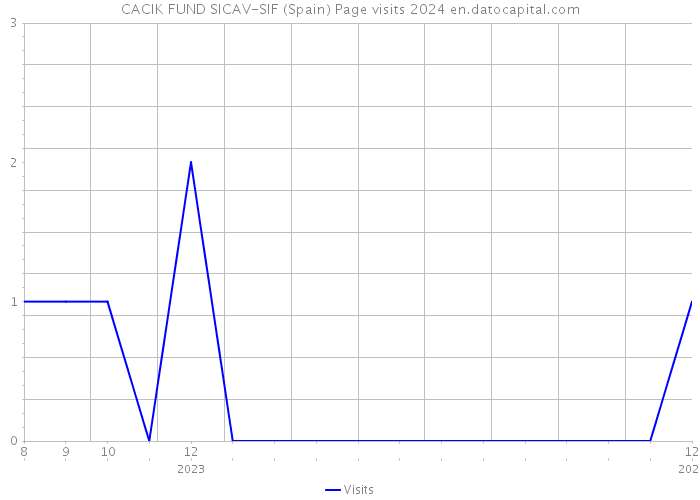 CACIK FUND SICAV-SIF (Spain) Page visits 2024 