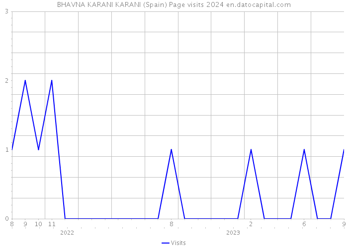 BHAVNA KARANI KARANI (Spain) Page visits 2024 