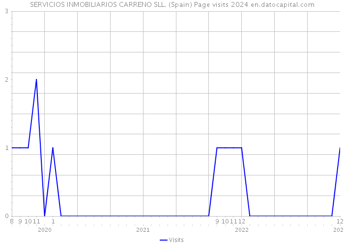 SERVICIOS INMOBILIARIOS CARRENO SLL. (Spain) Page visits 2024 