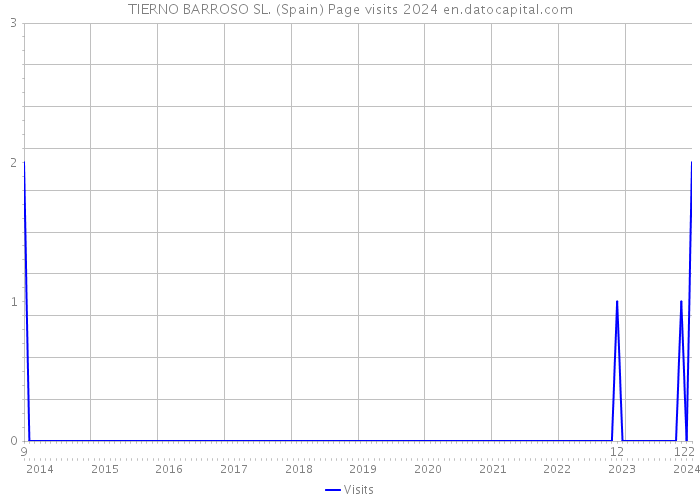 TIERNO BARROSO SL. (Spain) Page visits 2024 