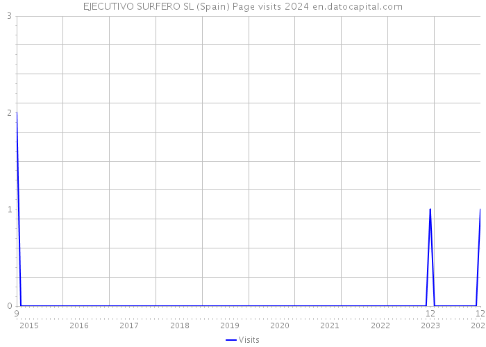 EJECUTIVO SURFERO SL (Spain) Page visits 2024 