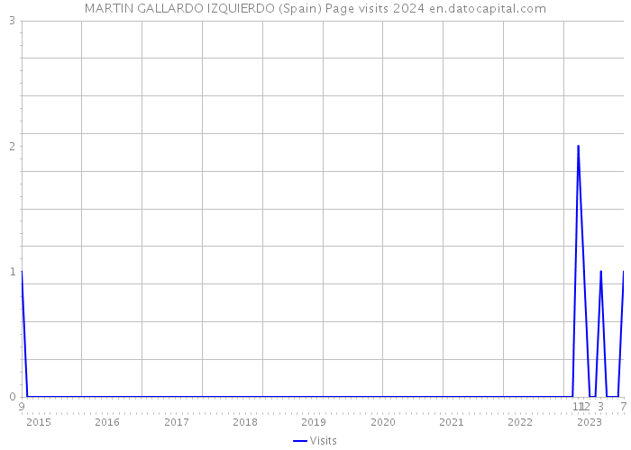 MARTIN GALLARDO IZQUIERDO (Spain) Page visits 2024 