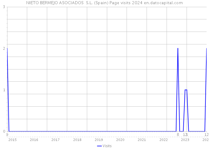 NIETO BERMEJO ASOCIADOS S.L. (Spain) Page visits 2024 