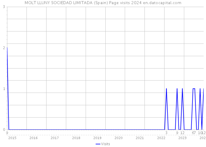 MOLT LLUNY SOCIEDAD LIMITADA (Spain) Page visits 2024 
