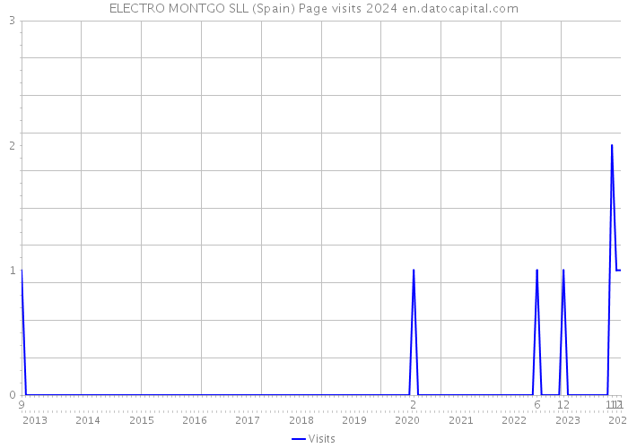 ELECTRO MONTGO SLL (Spain) Page visits 2024 