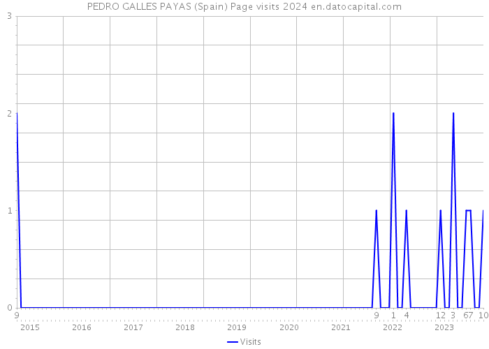 PEDRO GALLES PAYAS (Spain) Page visits 2024 