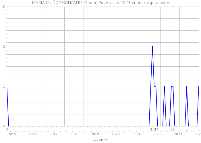 MARIA MUÑOZ GONZALEZ (Spain) Page visits 2024 