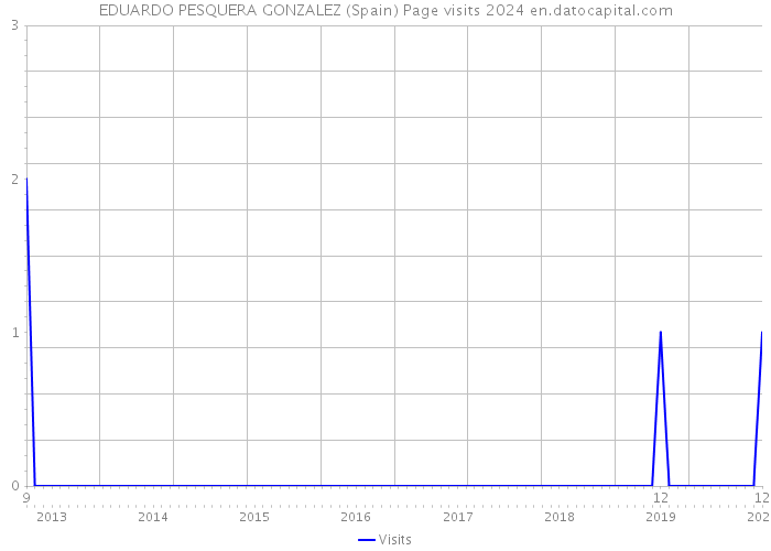 EDUARDO PESQUERA GONZALEZ (Spain) Page visits 2024 