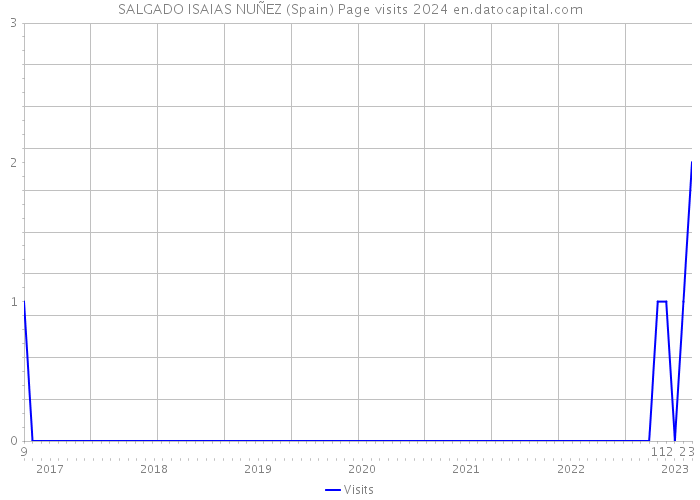 SALGADO ISAIAS NUÑEZ (Spain) Page visits 2024 