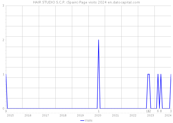 HAIR STUDIO S.C.P. (Spain) Page visits 2024 