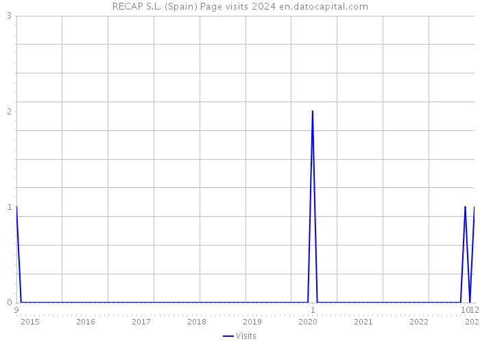 RECAP S.L. (Spain) Page visits 2024 