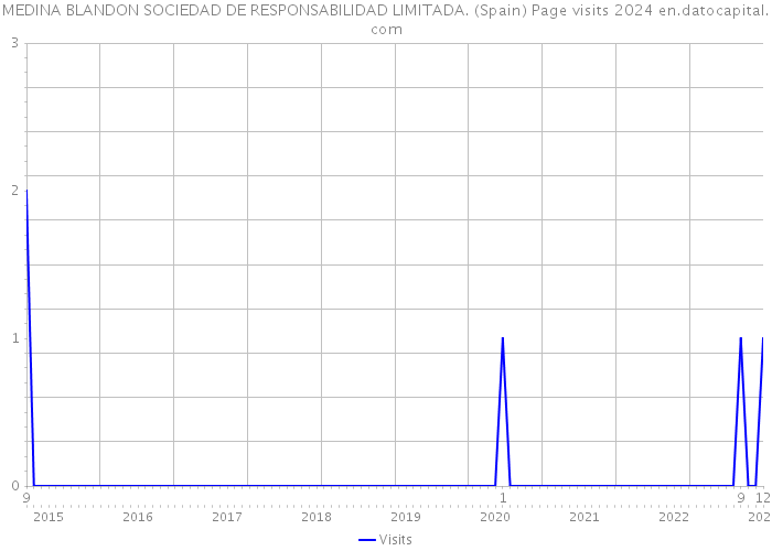 MEDINA BLANDON SOCIEDAD DE RESPONSABILIDAD LIMITADA. (Spain) Page visits 2024 