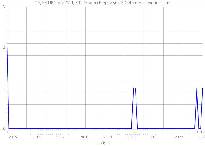 CAJAMURCIA XXVIII, F.P. (Spain) Page visits 2024 