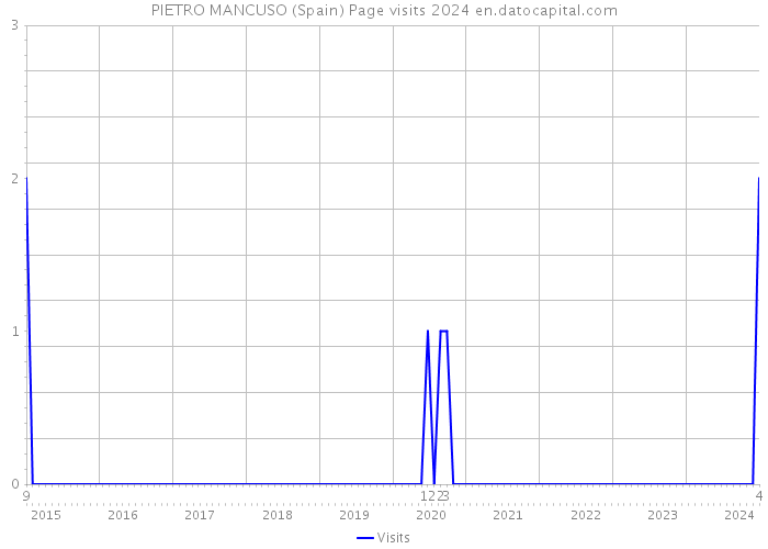 PIETRO MANCUSO (Spain) Page visits 2024 