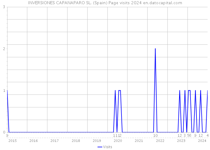 INVERSIONES CAPANAPARO SL. (Spain) Page visits 2024 