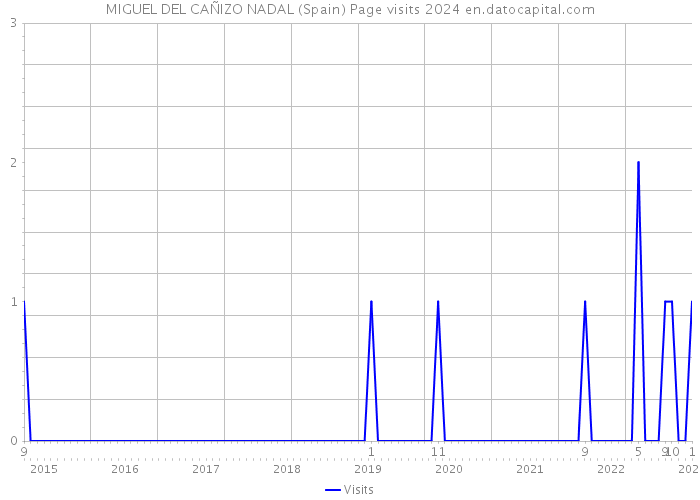MIGUEL DEL CAÑIZO NADAL (Spain) Page visits 2024 