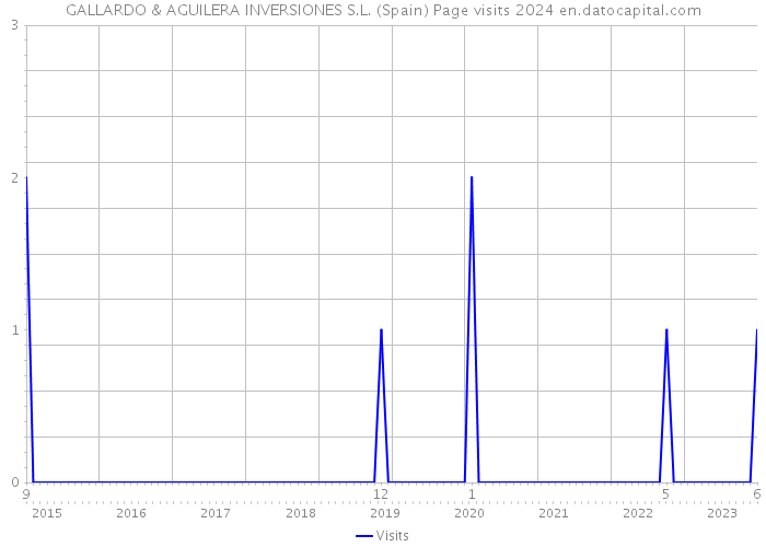 GALLARDO & AGUILERA INVERSIONES S.L. (Spain) Page visits 2024 