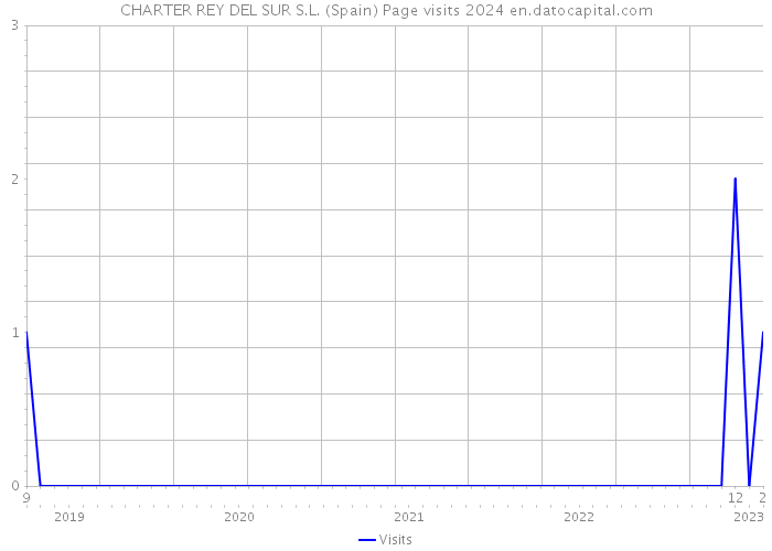 CHARTER REY DEL SUR S.L. (Spain) Page visits 2024 