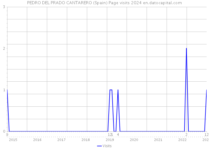 PEDRO DEL PRADO CANTARERO (Spain) Page visits 2024 
