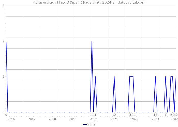 Multiservicios Hm,c.B (Spain) Page visits 2024 