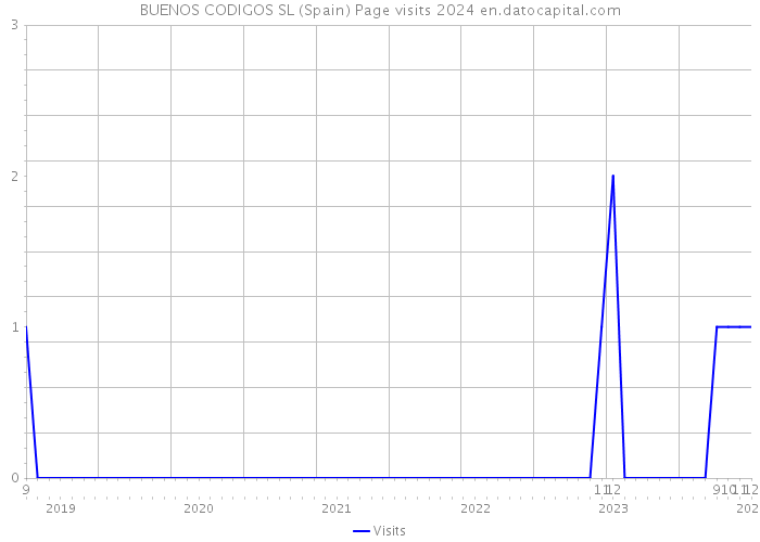 BUENOS CODIGOS SL (Spain) Page visits 2024 