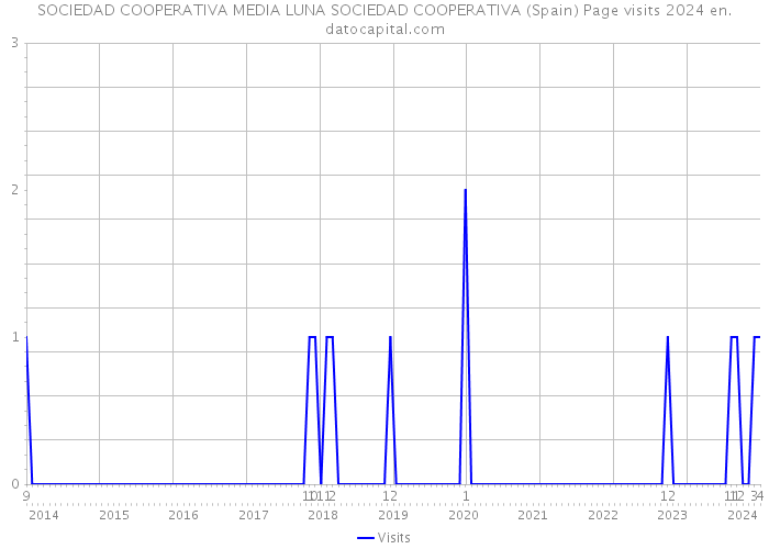 SOCIEDAD COOPERATIVA MEDIA LUNA SOCIEDAD COOPERATIVA (Spain) Page visits 2024 